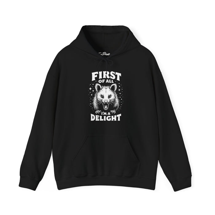 First Of All I’m A Delight Funny Possum Hoodie, Sarcastic Animal Humor Hoodie
