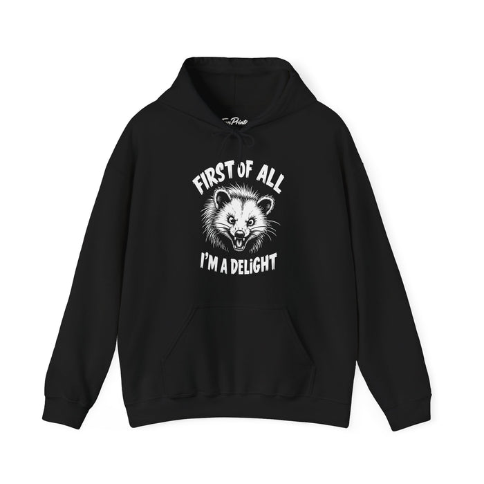First Of All I’m A Delight Funny Possum Hoodie, Sarcastic Animal Humor Hoodie