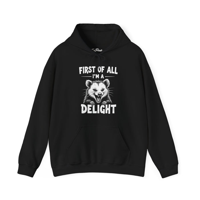 Funny Sarcastic Possum Saying Hoodie for Men Women, I’m A Delight Humor Gift